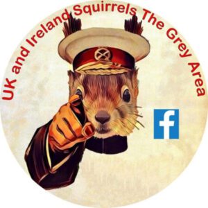 Group logo of UK and Ireland squirrels The grey area
